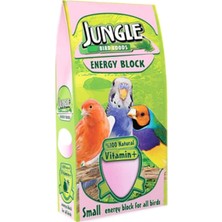 Zemira Jungle Kuş Bloğu, Küçük