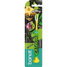 Zemira Banat Miraculous Fırçası