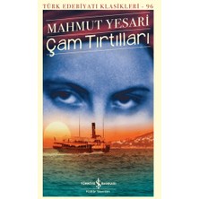 İş Bankası Kültür Yayınları Çam Tırtılları