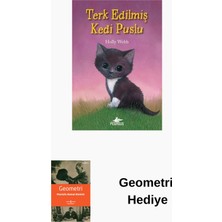 Pegasus Terk Edilmiş Kedi Puslu + Geometri Hediye