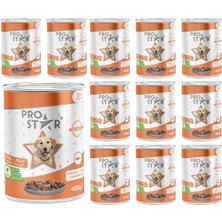 Zemira Prostar Yetişkin Somonlu Jöleli Konserve Mama 400 gr x 12 Adet