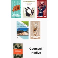 İnkılap Kitabevi Reşat Nuri Güntekin 5 Kitap Seti + Geometri Hediye
