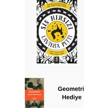 Timaş Yayınları Sis Hırsızı + Geometri Hediye