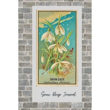 Zemira Independently Published Snow Drop Journal