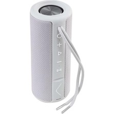 Zemira Desibel H500 Hoparlör Gri