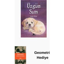 Pegasus Üzgün Sam + Geometri Hediye