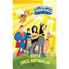 Beta Kids Dc Super Frıends Super Evcil Hayvanlar