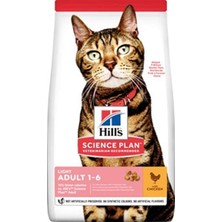 Zemira Hill's Feline Light Yetişkin Kuru 3 kg