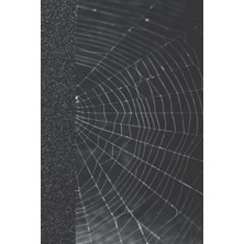 Zemira Independently Published Ttrpg Journal - Spiderwebs