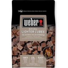 Zemira Weber 17612 - Cubetti Accendifuoco 48 Pastiglie Sul Marrone