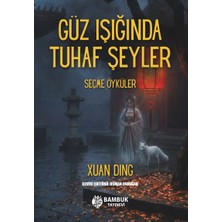 Bambuk Yayınevi Güz Işığında Tuhaf Şeyler