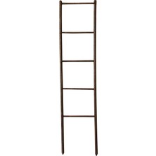 Zemira Akat Cosy Saksı Bahçe Bitkileri Ahşap Destek Merdiveni (12 x 50 Cm)