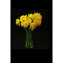 Zemira Independently Published Vase Of Flowers Journal