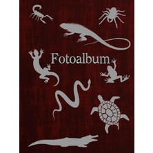 Zemira Independently Published Fotoalbum Reptilien Kriechtiere Fische Schlangen Eidechsen Geckos Schildkrö