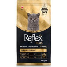 Zemira Plus British Shorthair Yavru 1.5 kg