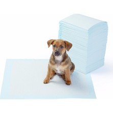 Hereveoyuncak Yıkanabilir Köpek Çiş Pedii - 100 x 100 cm