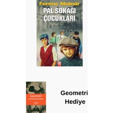 Altın Kitaplar Pal Sokağı Çocukları + Geometri Hediye