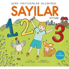 Uçan Kitap Sayılar