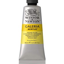 Zemira Winsor Newton Galeria Akrilik Tüpü Boya - Süreç Sarı