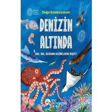 Koç Üniversitesi Yayınları Denizin Altında Doğa Koleksiyonum