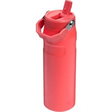 Zemira The Iceflow™ Bottle Flip Straw 2.0 / 24OZ Termos 0.07L 10-11283-178 Coral