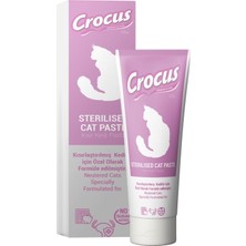 Zemira Crocus Sterilised Malt Macunu 100 Gram, 321-07