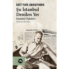 Vakıfbank Kültür Yayınları Şu Istanbul Denilen Yer