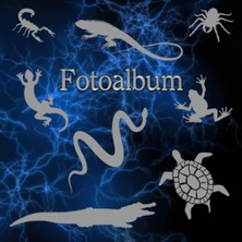 Zemira Independently Published Fotoalbum Reptilien Kriechtiere Fische Schlangen Eidechsen Geckos Schildkrö