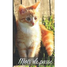 Zemira Mots De Passe: Carnet De Mots De Passe Chaton Roux Pour Enregistrer Vos Identifiants Internet Par O