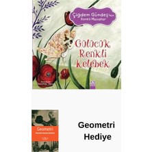 Altın Kitaplar Gülücük Renkli Kelebek + Geometri Hediye