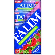 Zemira Falım 5'li Karpuz Aromalı Şekersiz Sakız 35 gr