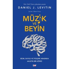 Say Müzik ve Beyin