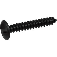 Zemira The Hillman Group 230371 Kafes Başlı Tek Yönlü Lag Vidası, 13,7 cm x 2 Inç, 50'li Paket, Siyah