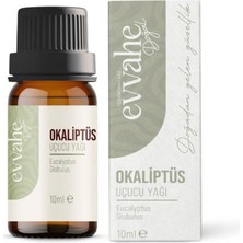 Zemira Okaliptus Yağı (10 Ml)