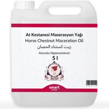 Zemira Elito At Kestanesi Maserasyon Yağı Aesculus Hippocastanum 5 Litre