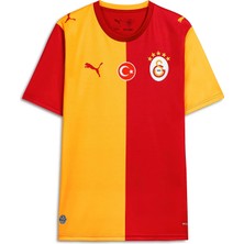 Puma Galatasaray 26/27 Iç Saha Erkek Forma