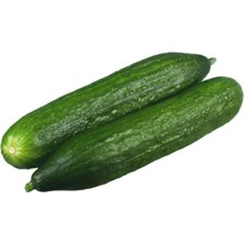 Zemira Salatalik Beith Alpha Ithal (Çoklu Tohum) - 5 Gram
