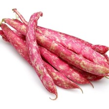 Zemira Barbunya (Çoklu Tohum) - 25 Gram