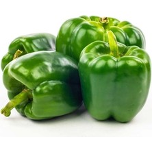 Zemira Dolma Bi̇ber Kandi̇l (Çoklu Tohum) - 5 Gram