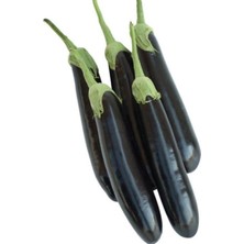 Zemira Patlican Aydin Si̇yah (Çoklu Tohum) - 5 Gram