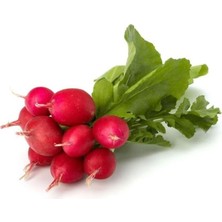 Zemira Turp Findik (Çoklu Tohum) - 5 Gram