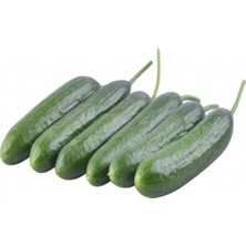 Zemira Salatalik Beith Alpha (Çoklu Tohum) - 5 Gram