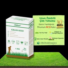 Brf Store A2TOPTAN Çok Yıllık Çim Tohumu 1 kg Uzun Ömürlü 6'lı Karışım Gölge ve Aşırı Güneşli Alan Uygun Yetiş