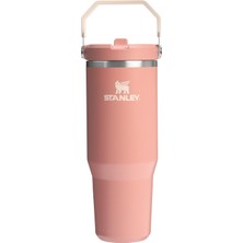 Brf Store A2TOPTAN Stanley Iceflow Flip Straw Tumbler Pipetli Termos Bardak, Kiremit (Sienna), 0.89 Litre