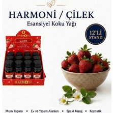 Harmoni  Çilek Esansiyel Uçucu Koku 10ML 12'li Stant Difüzör Esansı Buhurdanlık Yağı ve Oda Kokusu