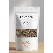 Mucize Tıp Lavanta Otu Kurusu Dökme 25 gr