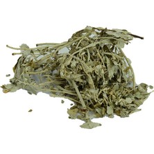 Iğde Yaprağı Doğal 100 gr Paket