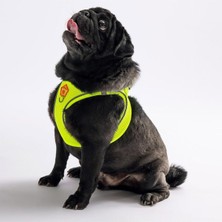 Zemira Pawstar Neon Sarı Air-Mesh Göğüs Tasması Göğüs Tasması Neon Sarı 3xs