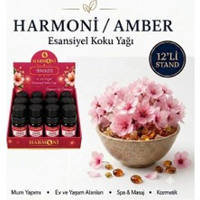 Harmoni Amber Esansiyel Uçucu Koku 10ML 12'li Stant Difüzör Esansı Buhurdanlık Yağı ve Oda Kokusu