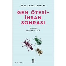 Ketebe Yayınları Gen Ötesi - Insan Sonrası